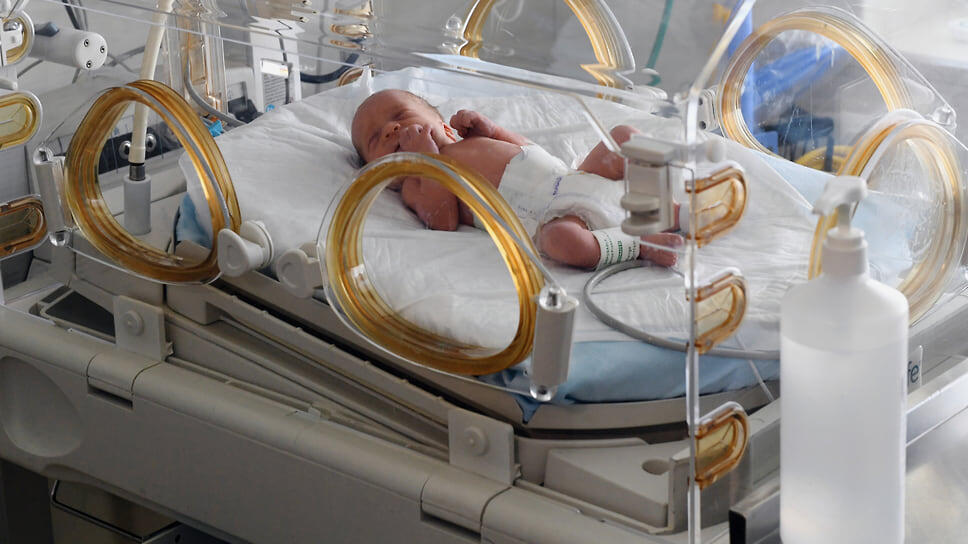 Фото: Дмитрий Духанин / Коммерсантъ