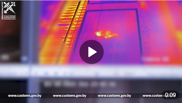 Стоп-кадр видео ГТК Беларуси: виден человек в вагоне © соцсети