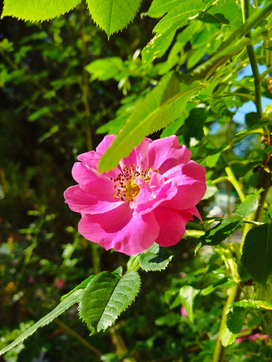 ФОТО ИЗ ЛИЧНОГО АРХИВА АВТОРА