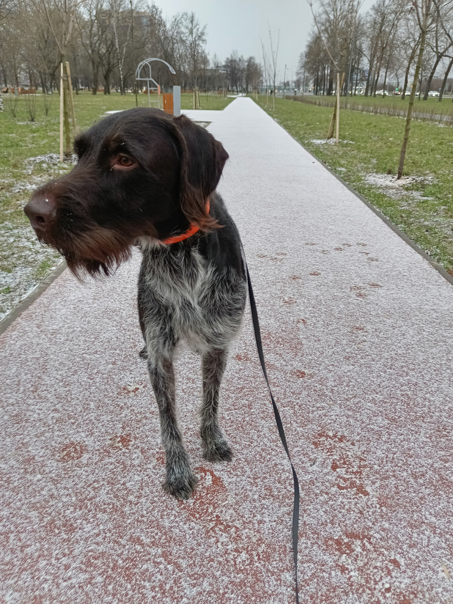 Косычу норм в меховой шубе!