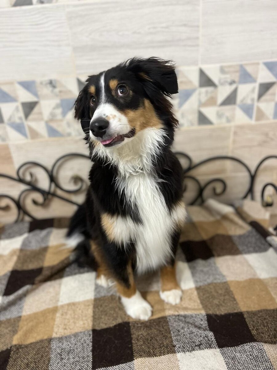 "Снимаешь? Голову так повернуть или ещё сильнее?