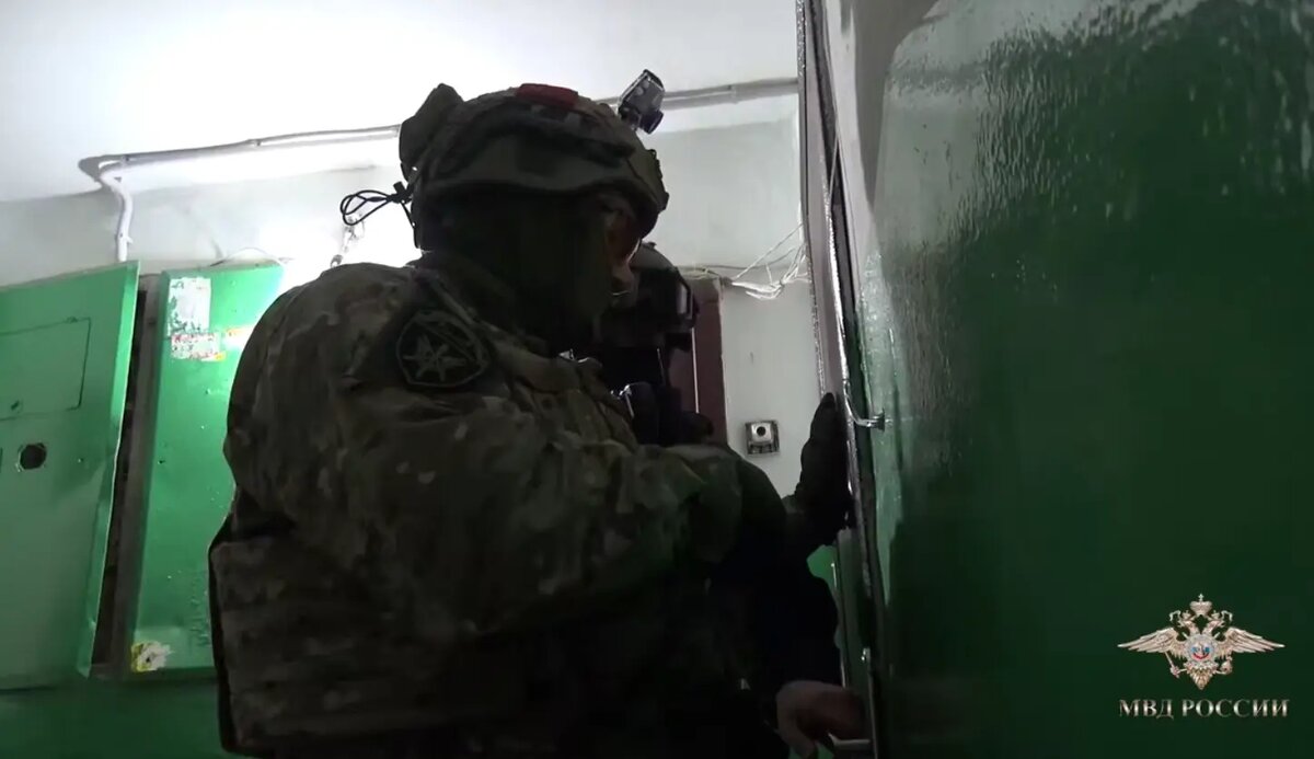    Фото: стоп-кадр видео МВД России