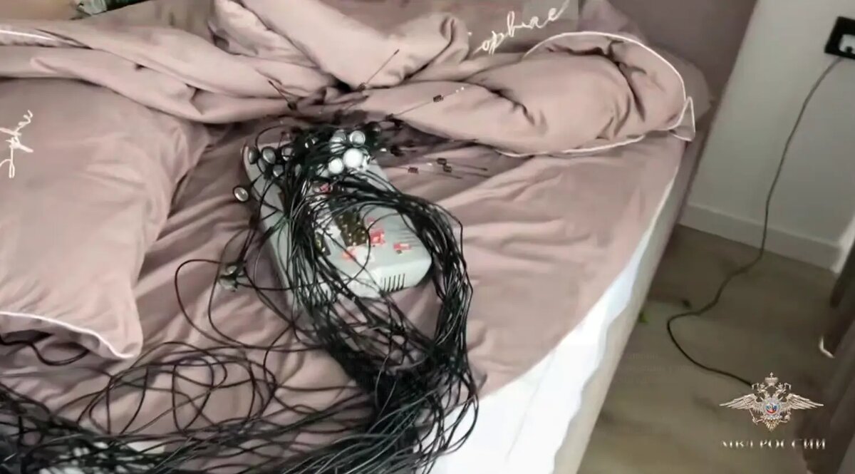    Фото: стоп-кадр видео МВД России