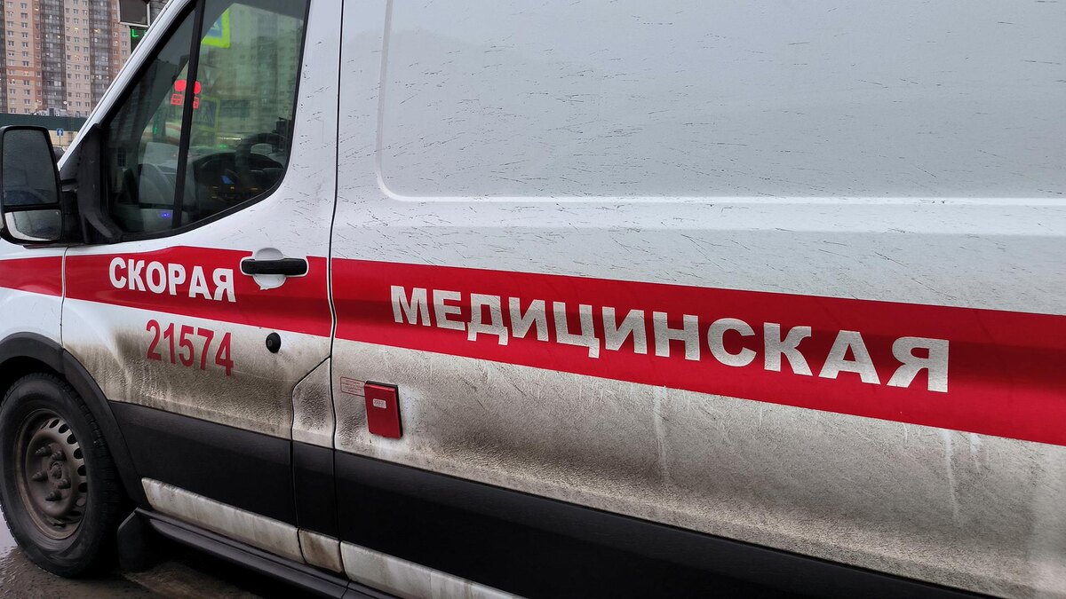    Фото: Maksim Konstantinov/globallookpress.com