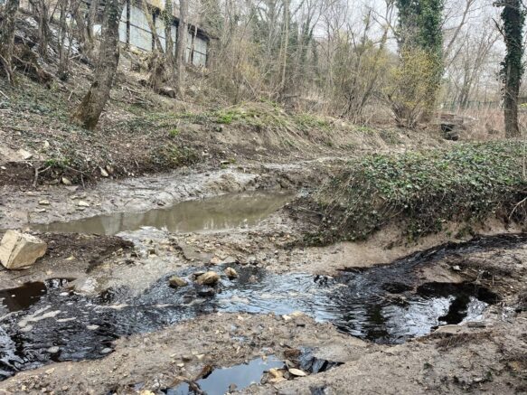    Река Озерейка. Фото: t.me/ecozhora