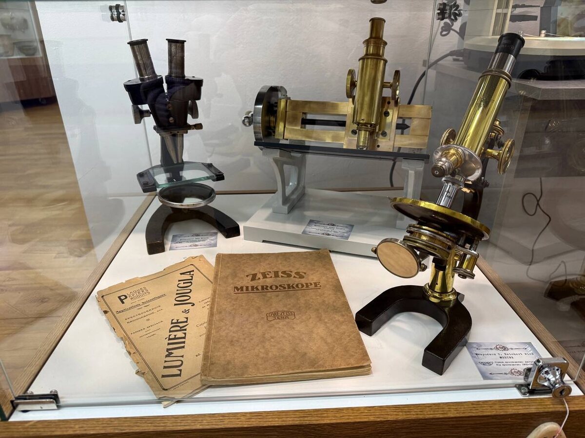 Фото: ТИЦ Курской области