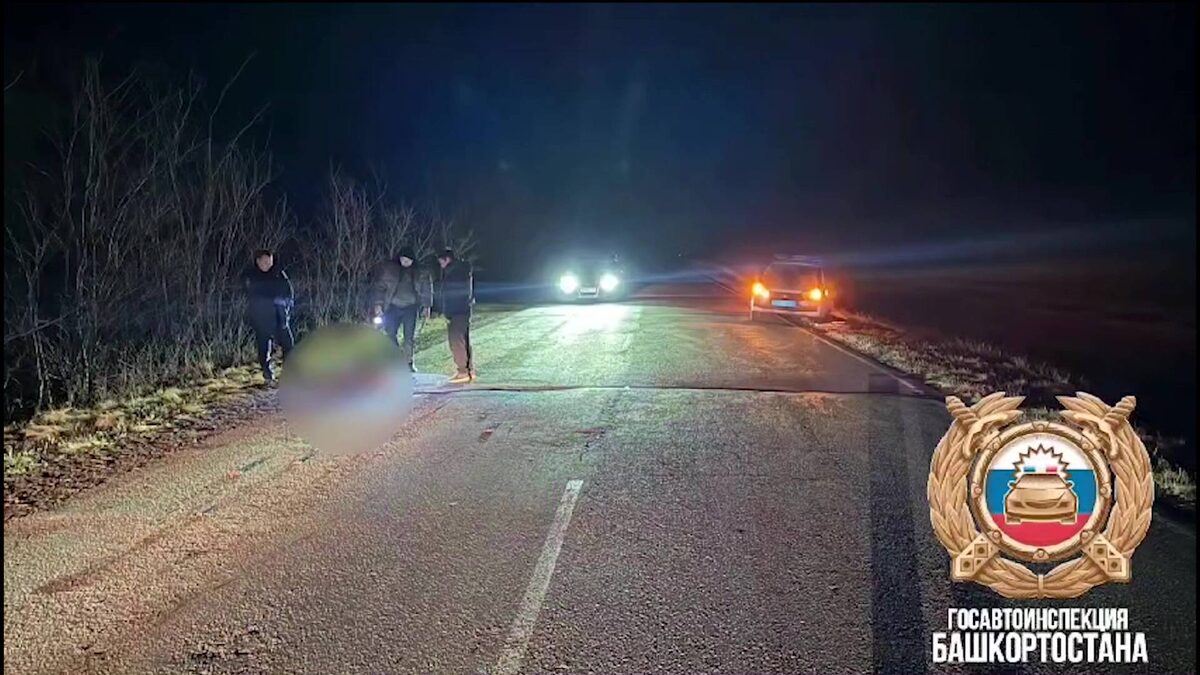    В Башкортостане задержали водителя, скрывшегося с места смертельного ДТП