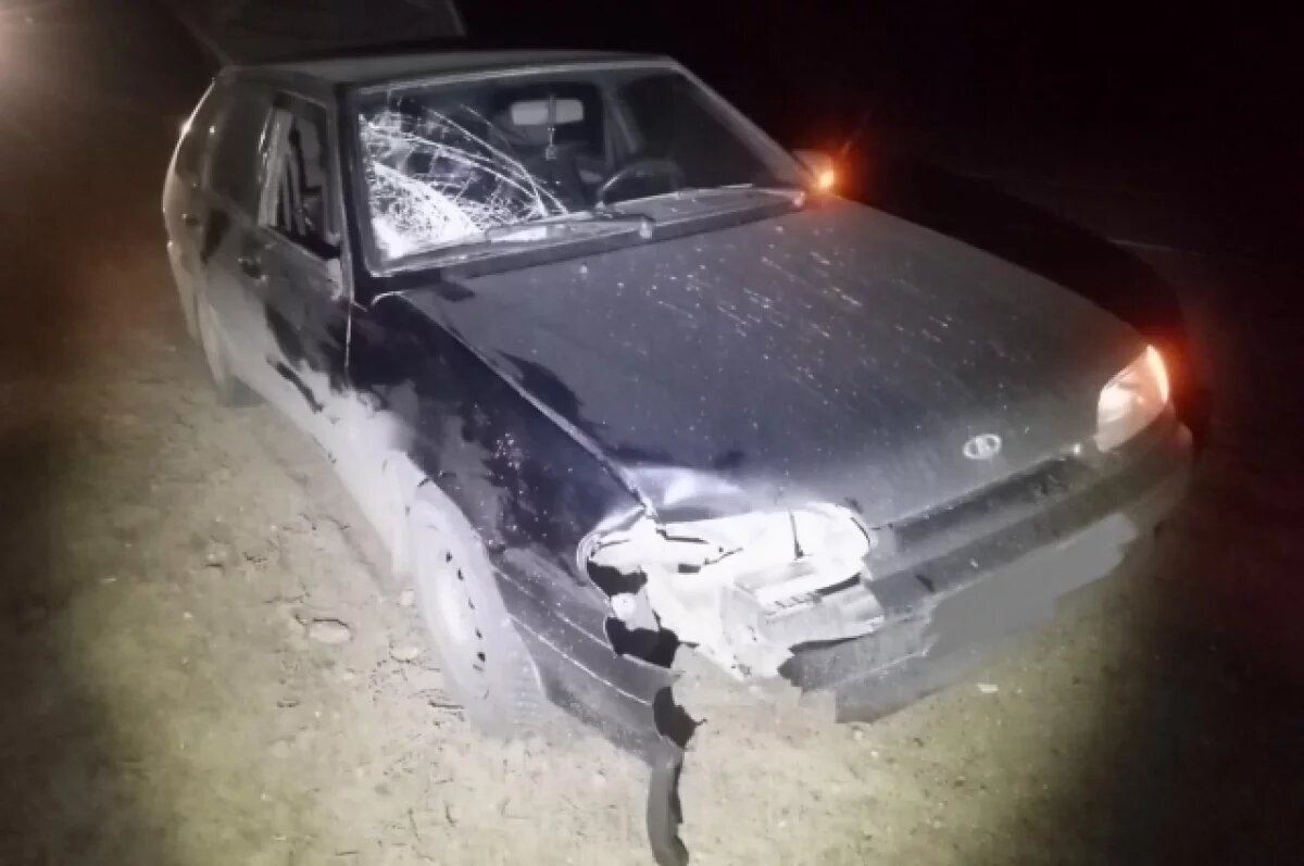    На федеральной трассе в Кировской области Lada насмерть сбила человека