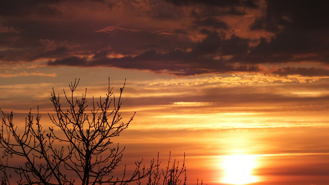    Victor Lisitsyn, Виктор Л/Global Look Press