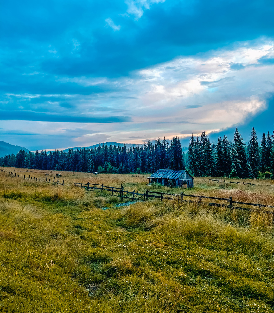 Пейзаж Семинского перпевала.
