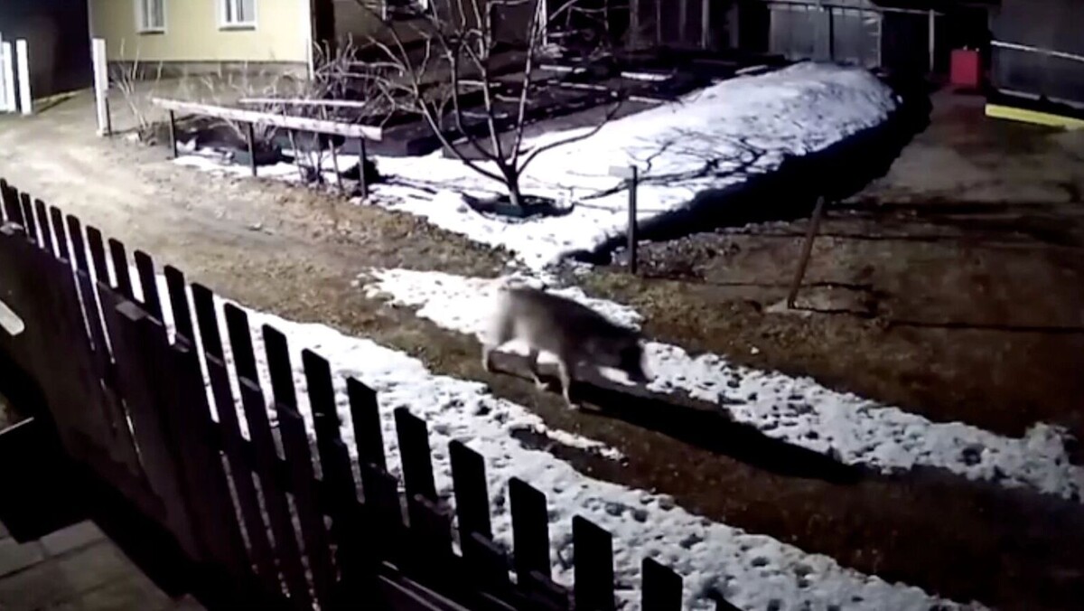     Источник: скриншот видеозаписи