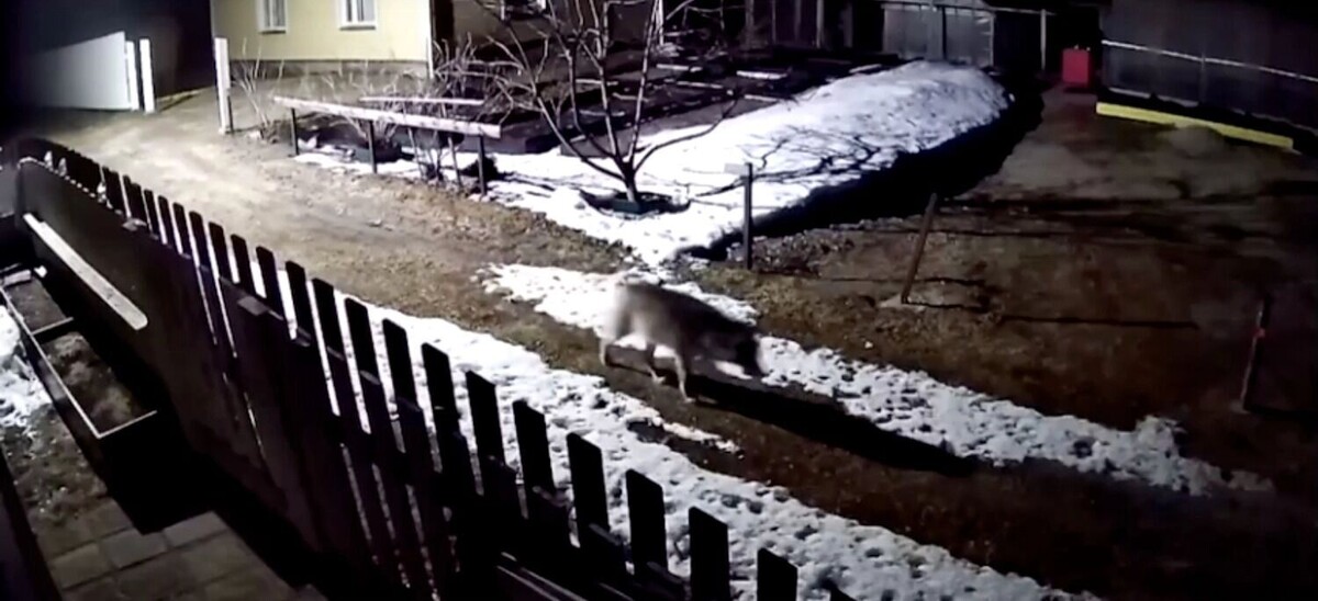     Источник: скриншот видеозаписи