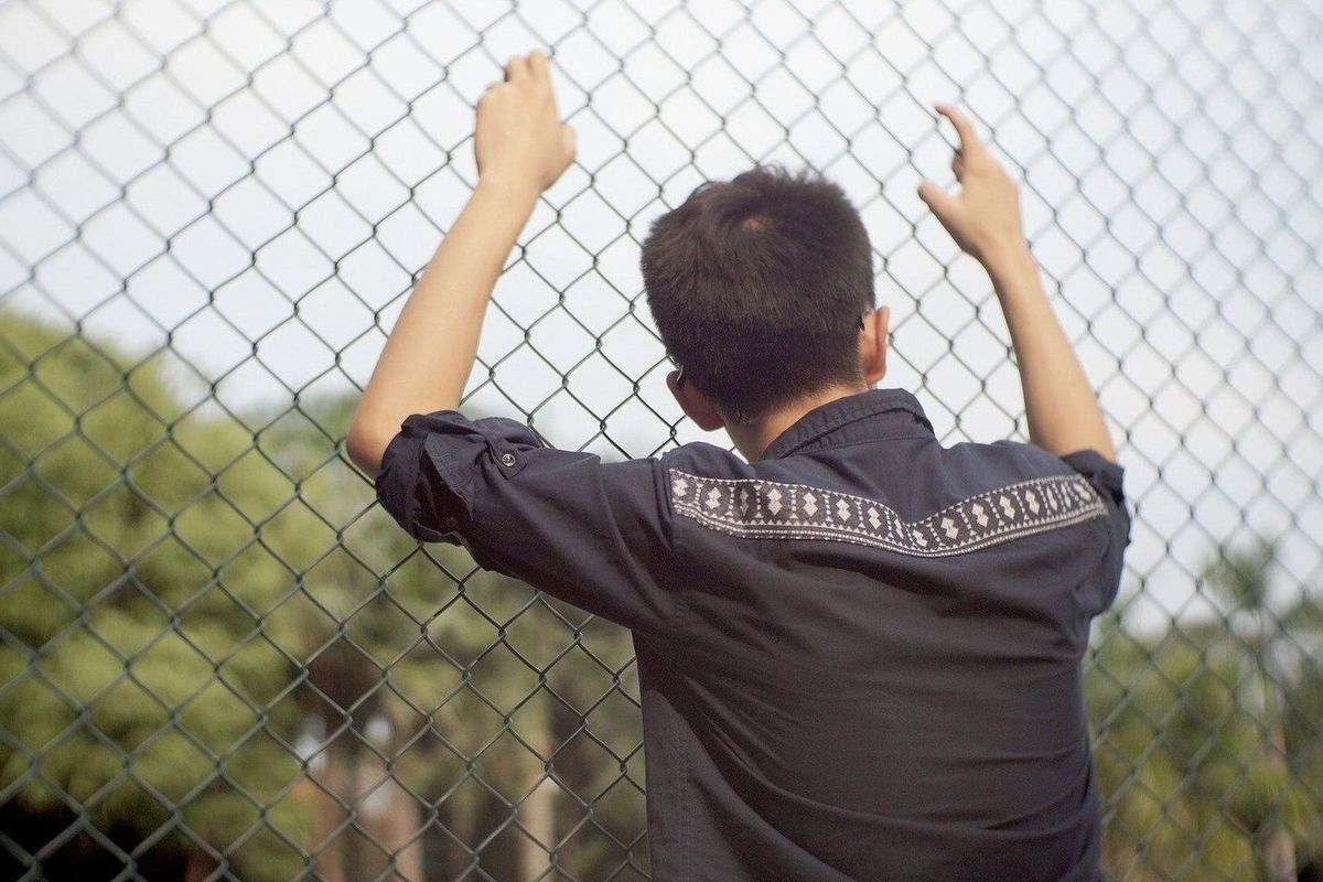 Фото Яндекс картинки.