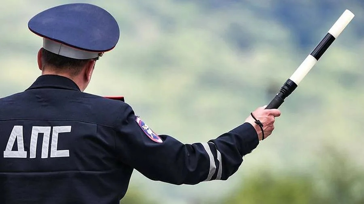 Фото: РИА Новости/Константин Михальчевский