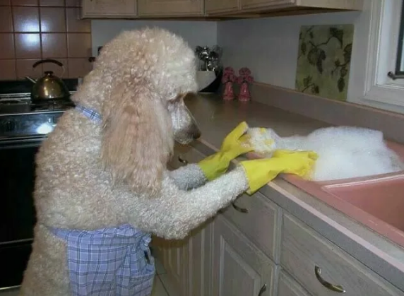 Фото с сайта Pinterest