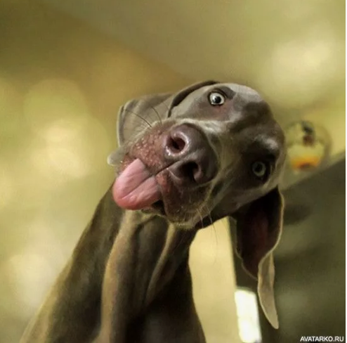 Фото с сайта Pinterest