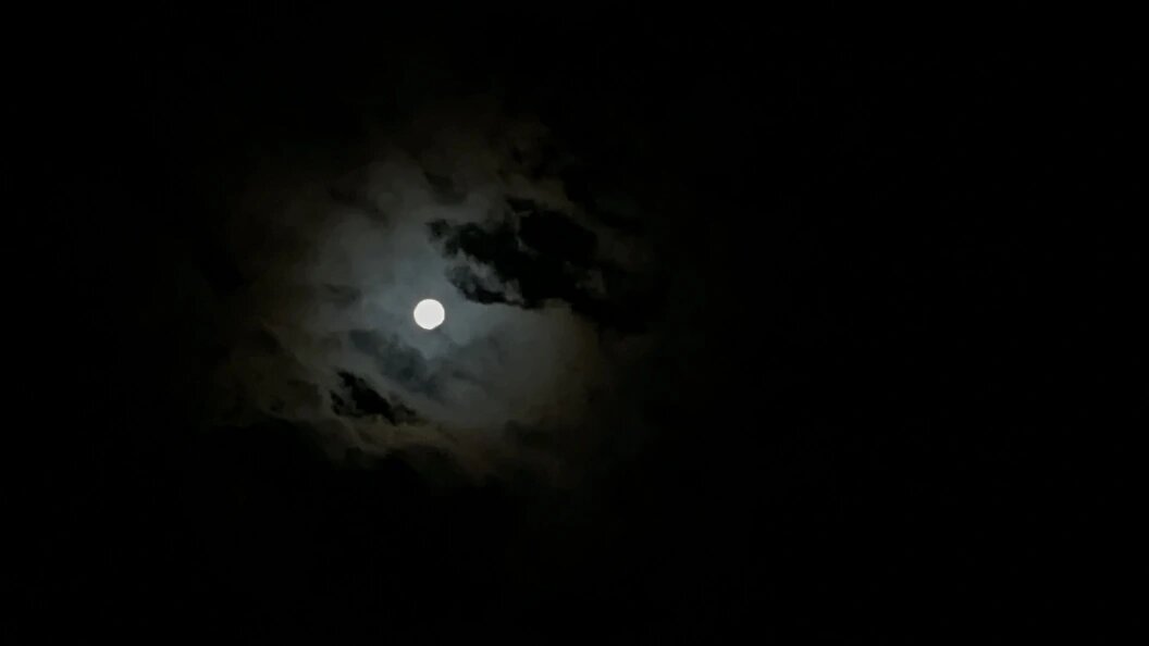    Фото: Царьград