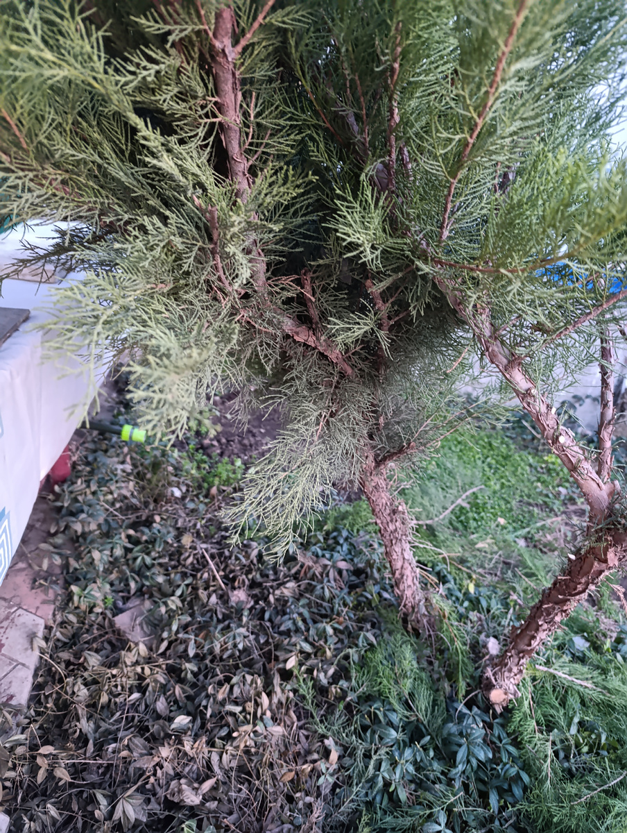 Начало работы