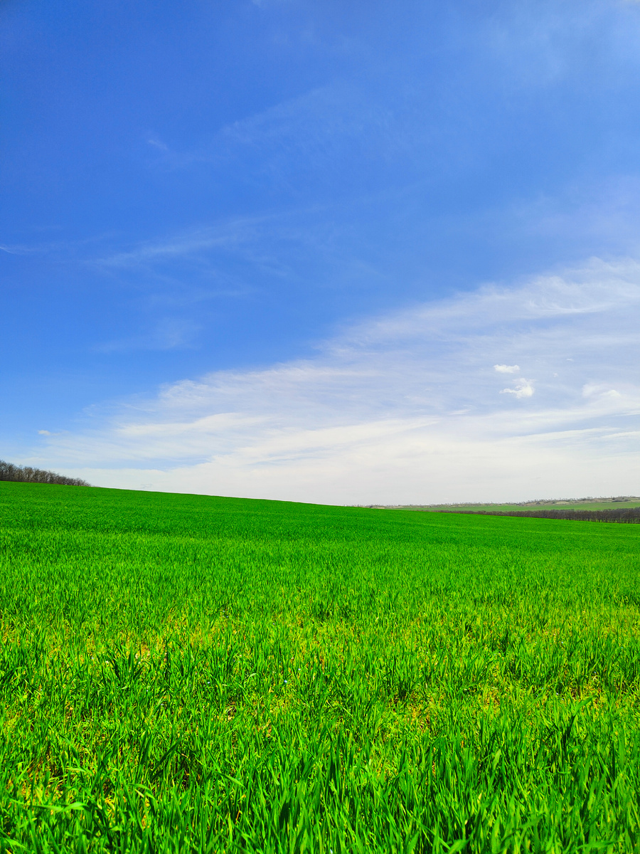 Яркие краски весны