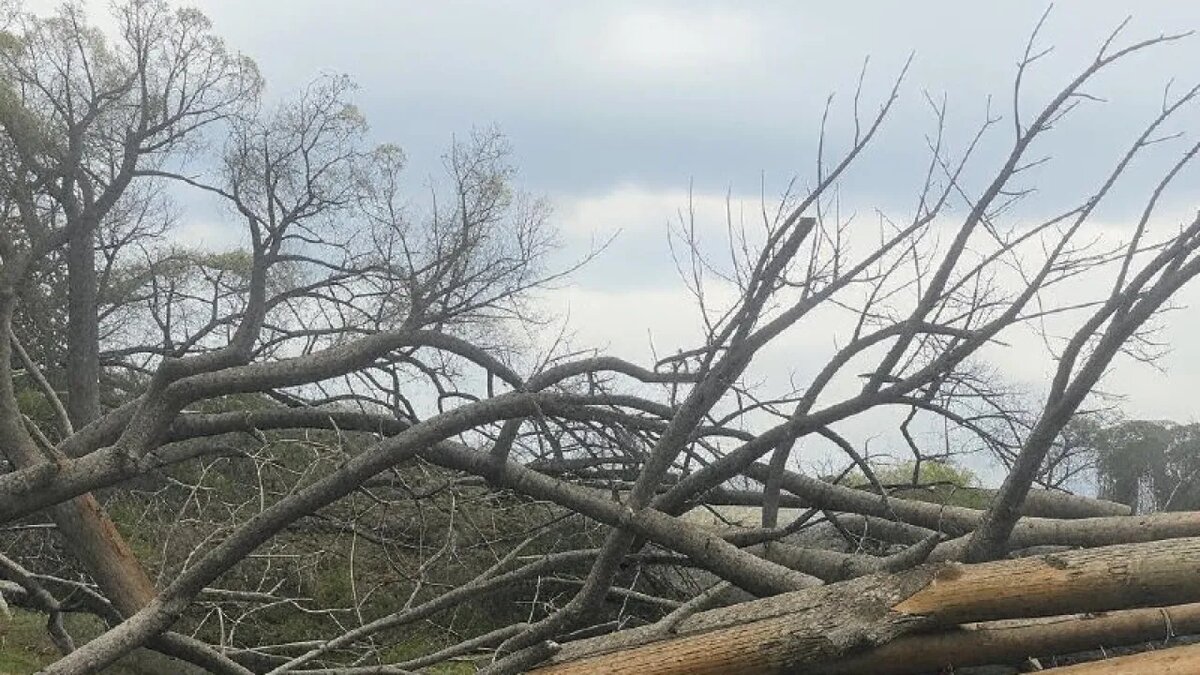    Сгенерировано ИИ