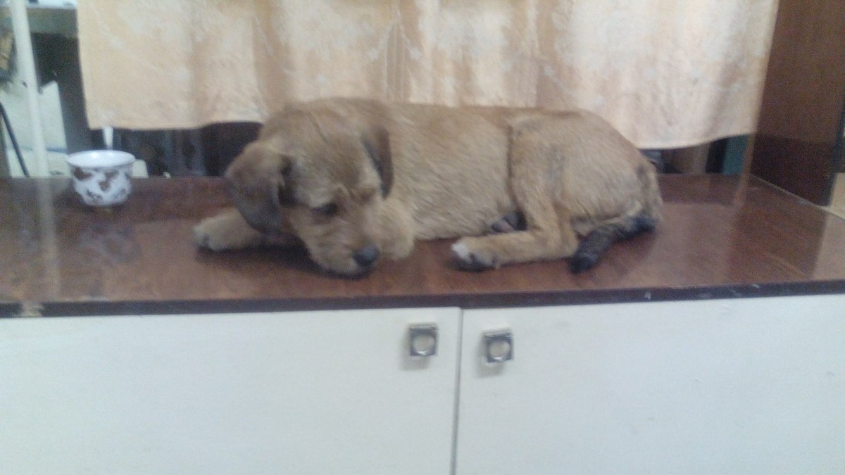 Вот таким он был в тот день знакомства.