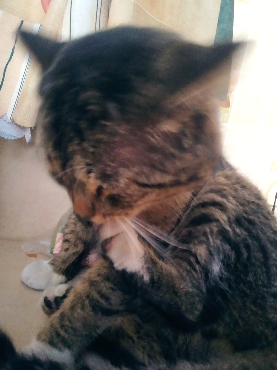 Ну надо сделать педикюр  