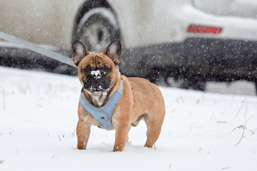    ©Агентство городских новостей "Москва"