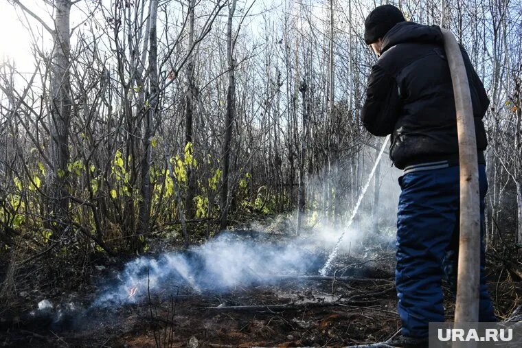 Только за минувшие выходные в Челябинской области произошло почти сто лесных пожаров. Фото: Владимир Жабриков © URA.RU