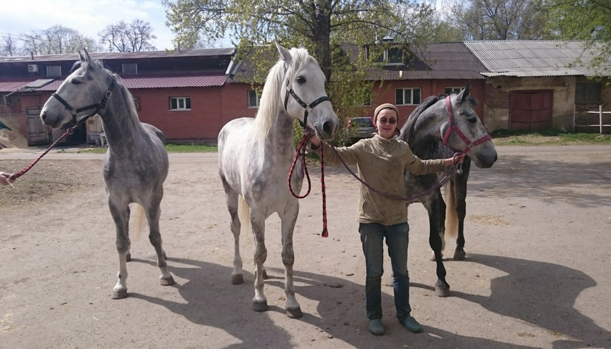 тройка орловцев