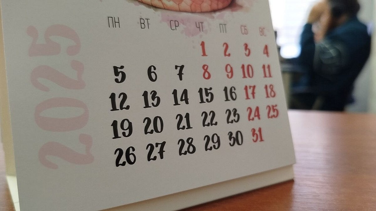    Фото: телеканал «Краснодар»