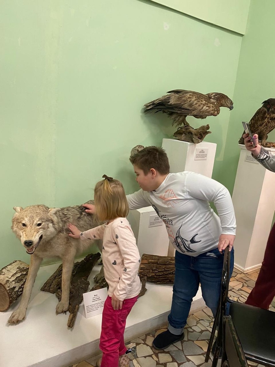 Выставка, посвященную животным Саратовской области