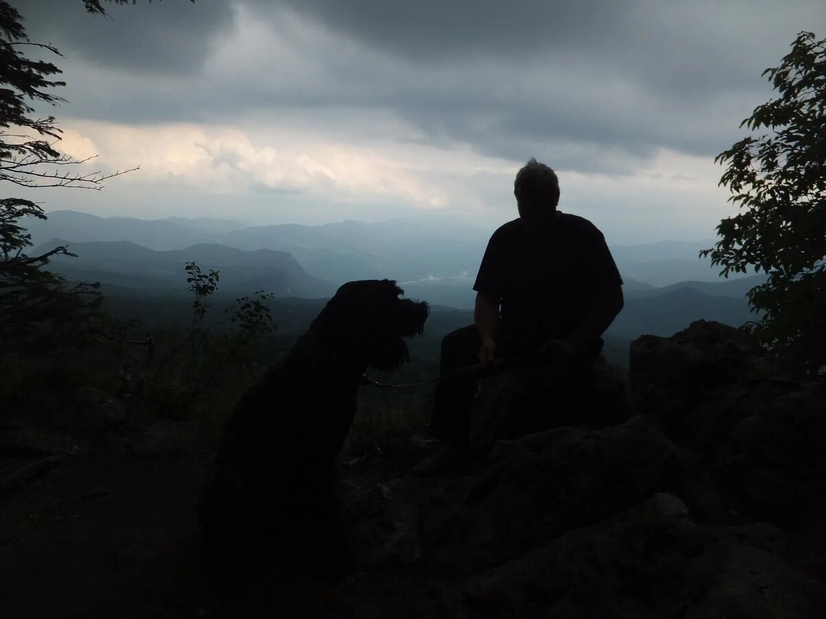 Друзья уходят только раз...