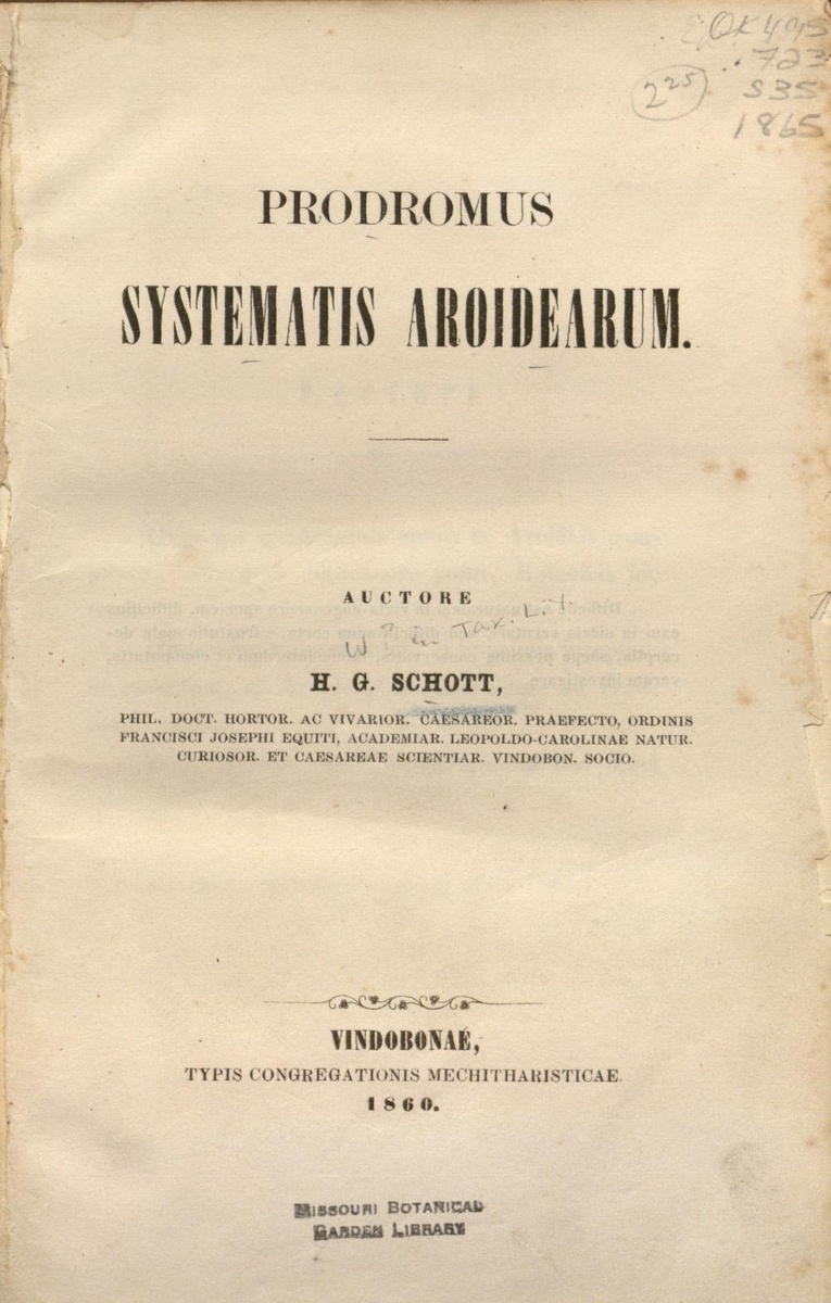 Prodromus Systematis Aroidearum, H.G. Schott (1860). Фото: https://www.biodiversitylibrary.org/item/1104#page/39/mode/1up