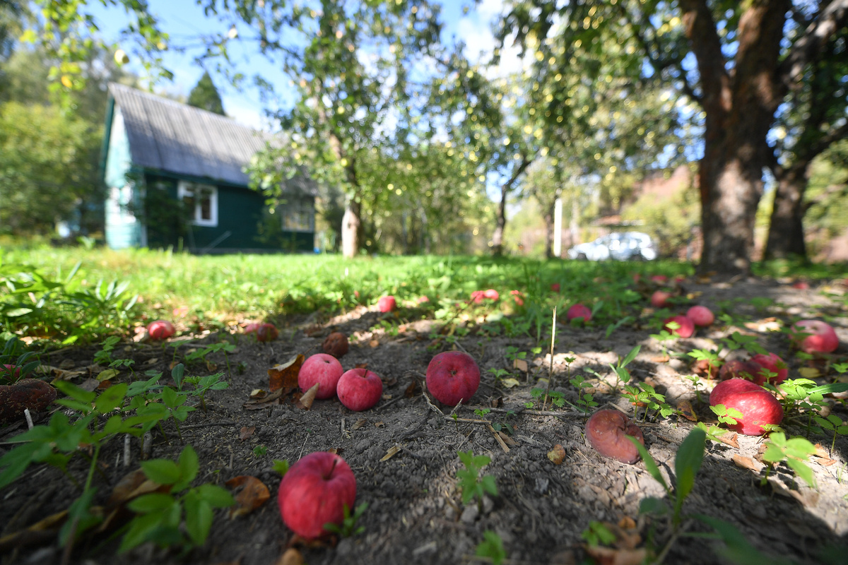 фото: Komsomolskaya Pravda/Global Look Press