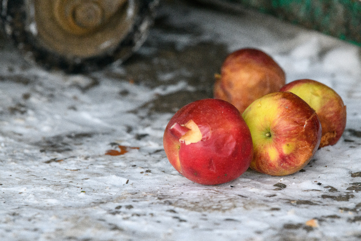 фото: Ilya Moskovets/URA.RU