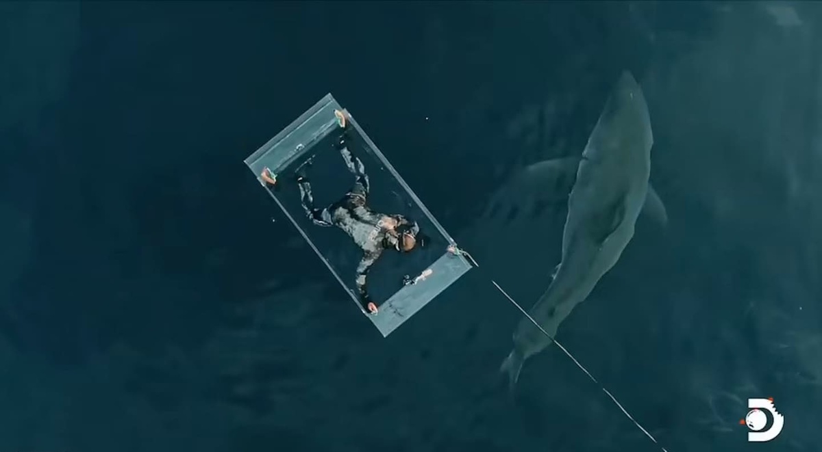 Источник: arc-cdn.net