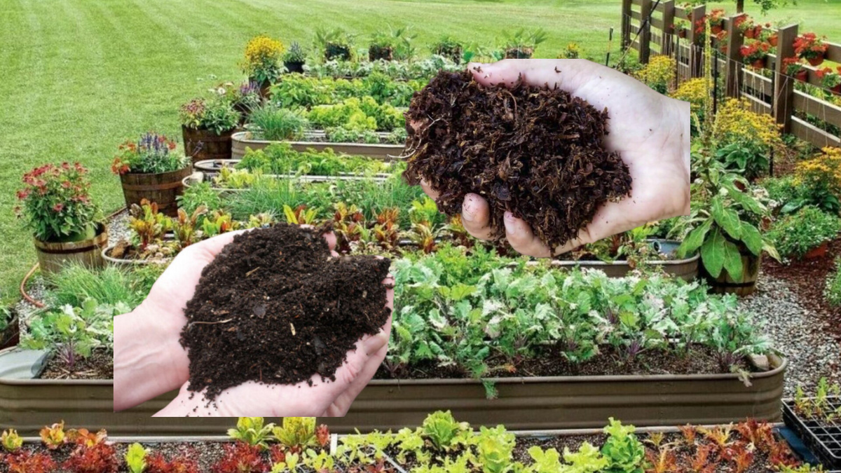 Коллаж из доступных в сети фото