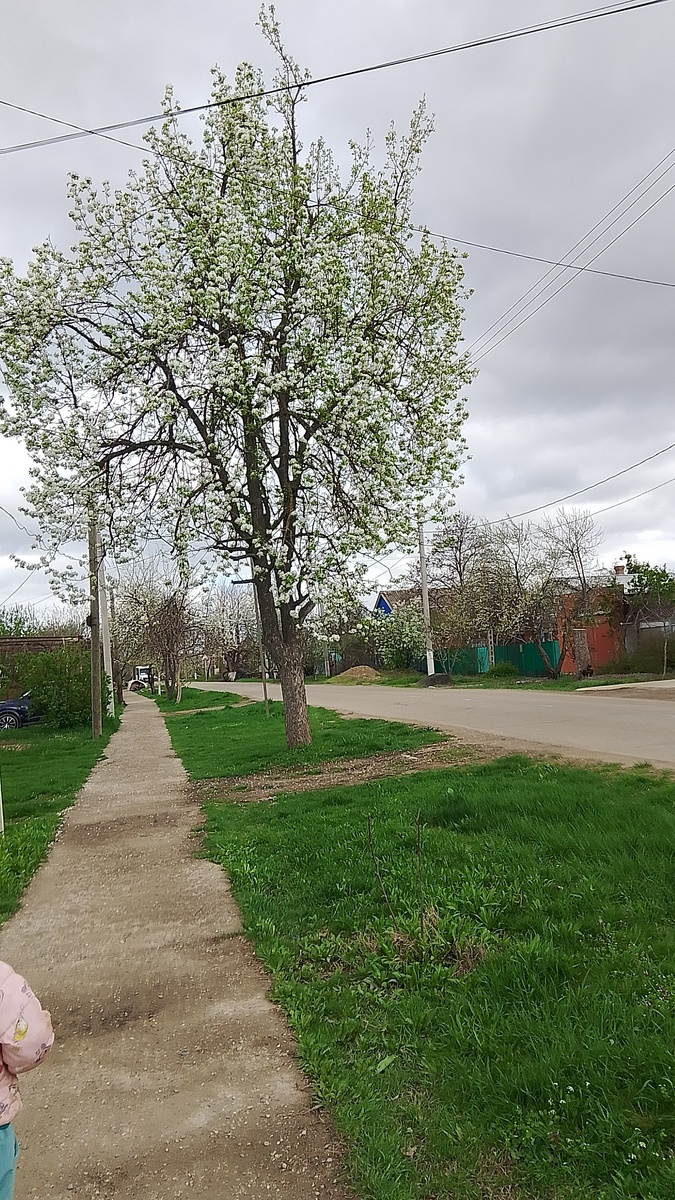 Фото личное.