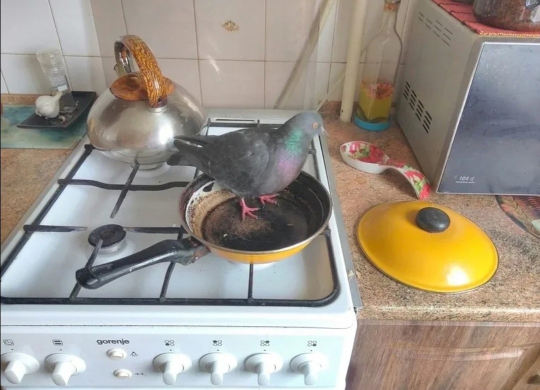 Начало начал