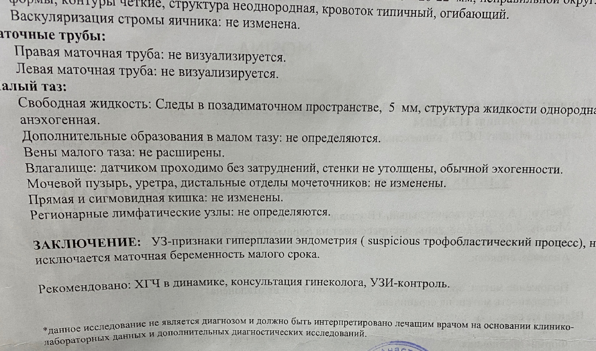 Заключение врача узи 