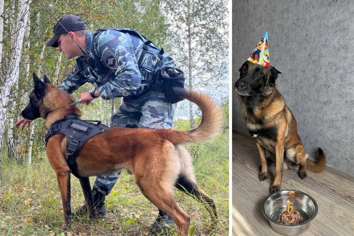    Фото: МО МВД России «Каменск-Уральский»