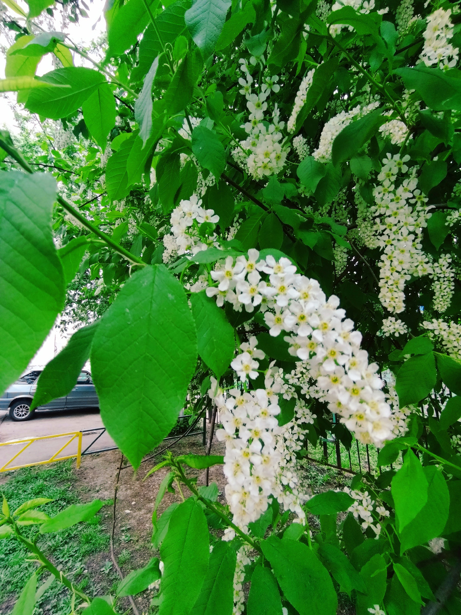 Фото автора