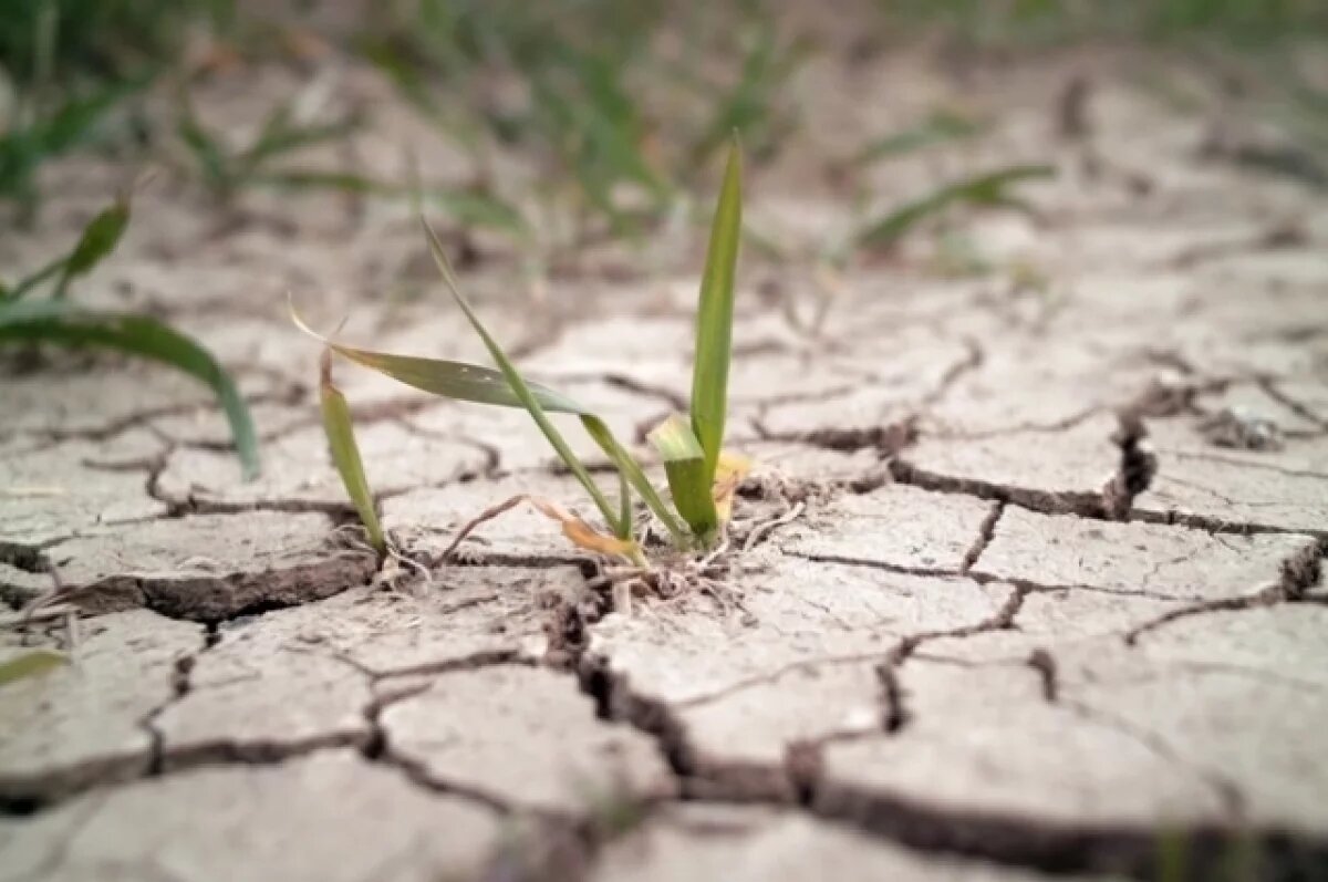    Росгидрометцентр спрогнозировал дефицит осадков на Кубани летом