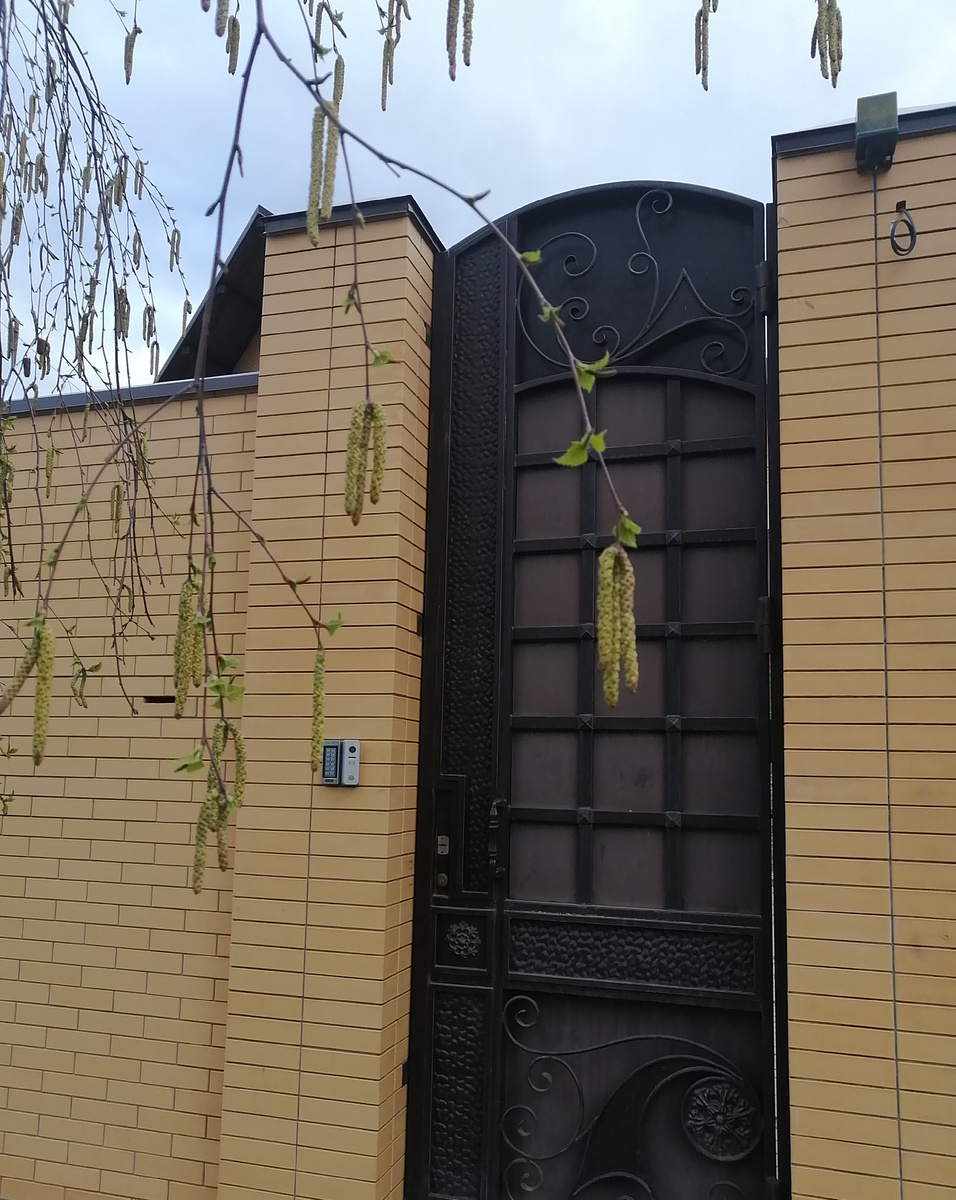 Берёзовые бруньки, в@дка была такая