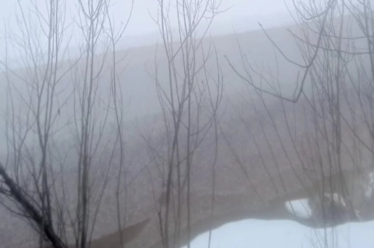    В Коми продолжаются поиски утонувших рыбаков и 11-летнего мальчика