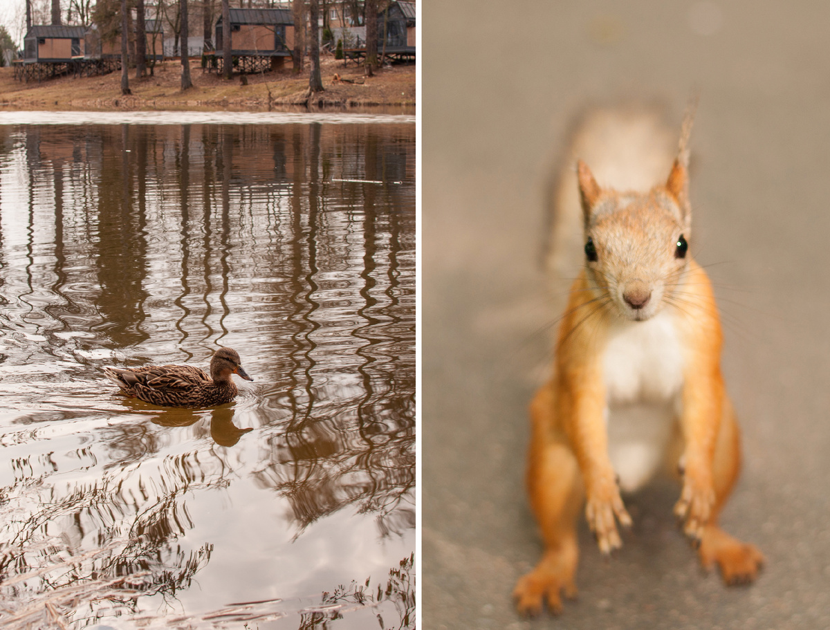 Личное фото