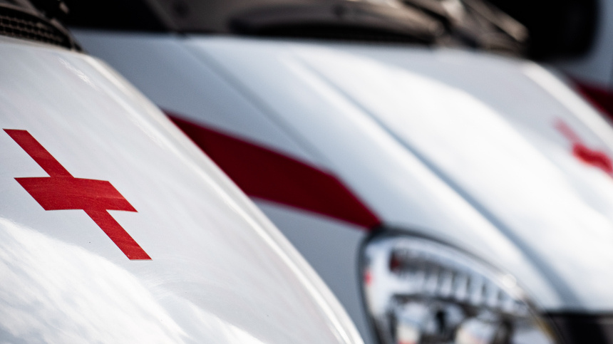    Фото: Анна Майорова/ТАСС