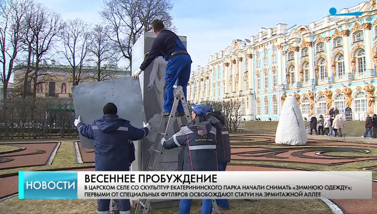    Фото: стоп-кадр эфира телеканала «Санкт-Петербург»