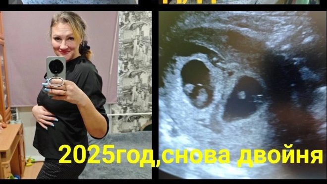 Фото: Пресс-служба правительства Ленинградской области