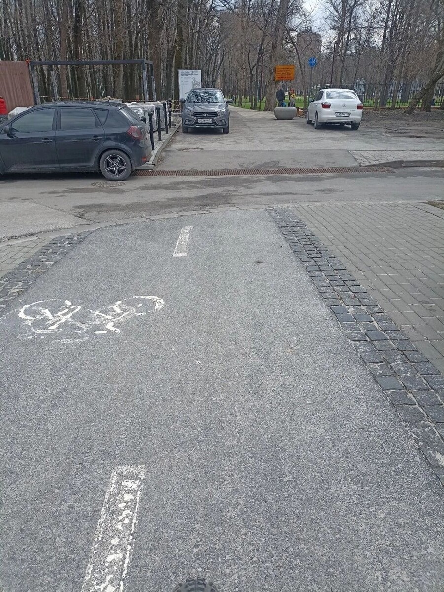     Источник: Telegram-канал «Кошкин город»